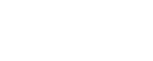 Constantino — Clarity. Execution. Freedom.